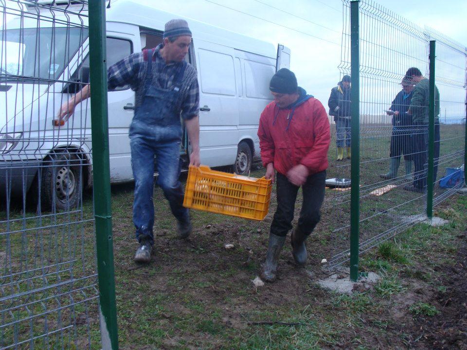 Populare Balta Cristian  - 5216111104774124821571064186532n.jpg